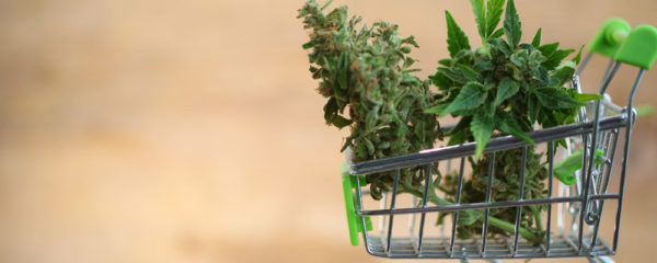 CBD