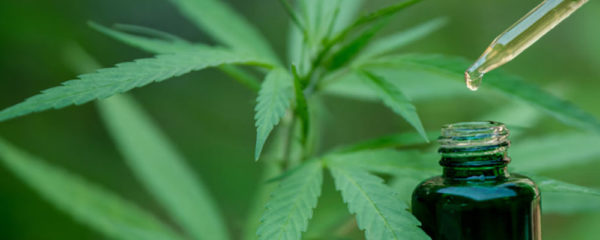 CBD