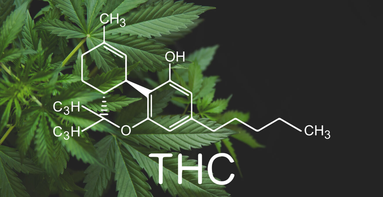 taux de THC